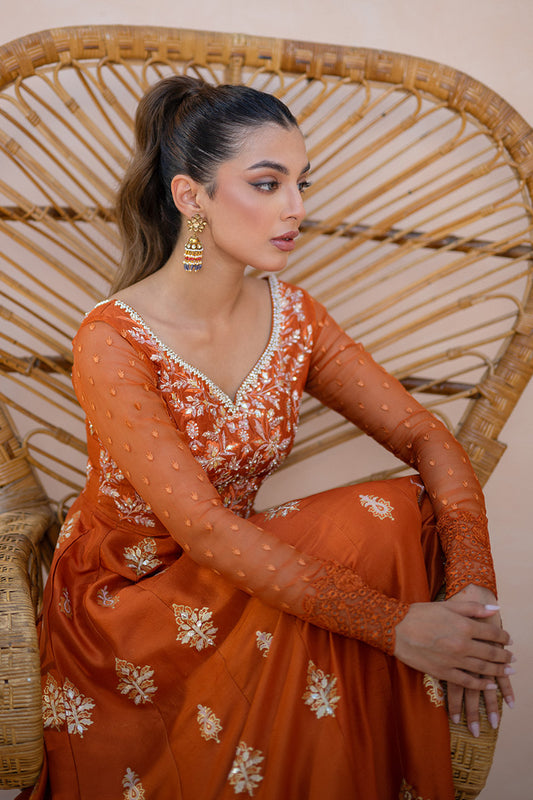 Amber Luxuria Kalidaar and Dupatta