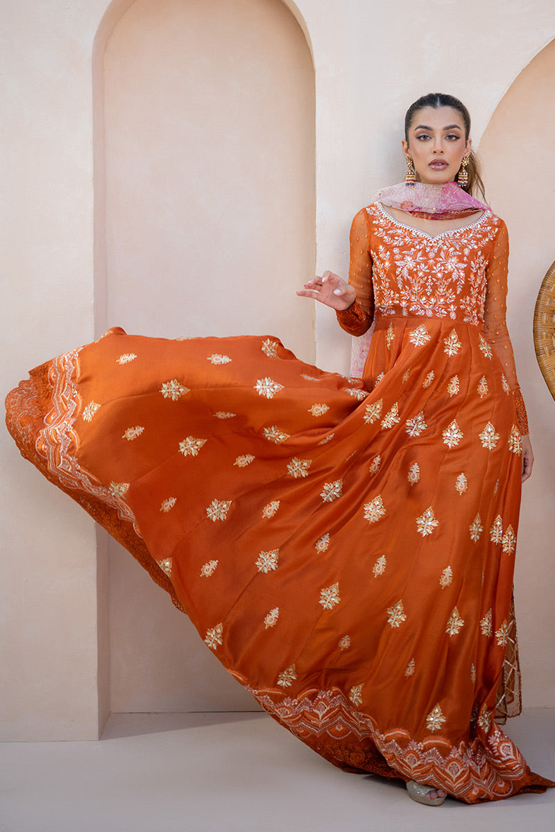 Amber Luxuria Kalidaar and Dupatta