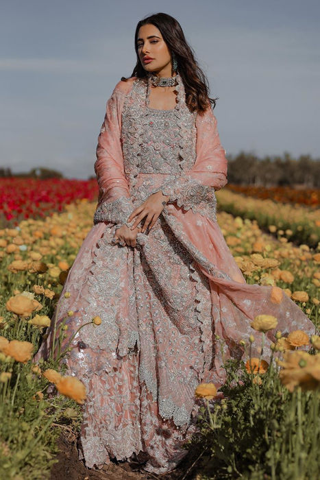 Picture of Blush pink kalidaar