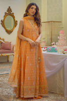 Picture of Orange crush