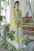 Picture of Sunshine Blooms