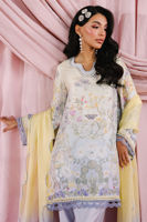 Picture of Summer Shirt and Dupatta