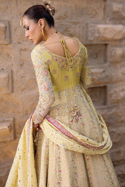 Farnaz