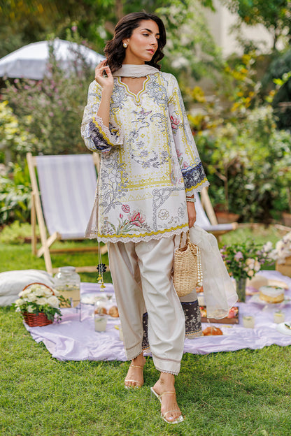 Sunbeam Shirt and Dupatta