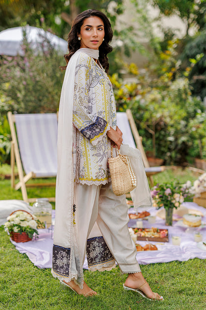 Sunbeam Shirt and Dupatta