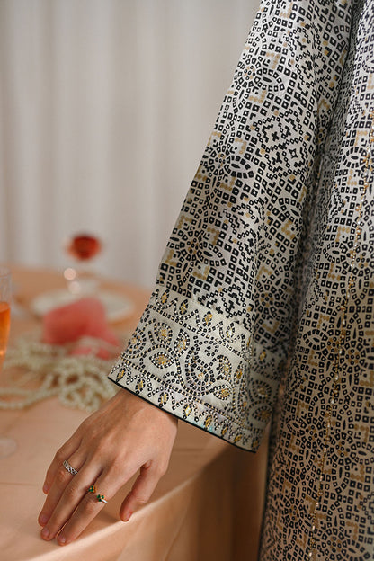 Clea Shirt and Dupatta