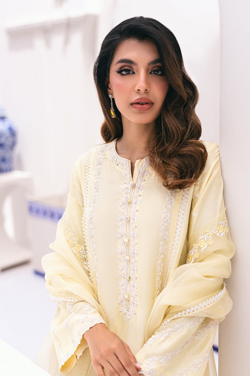 Baneen Shirt and Dupatta