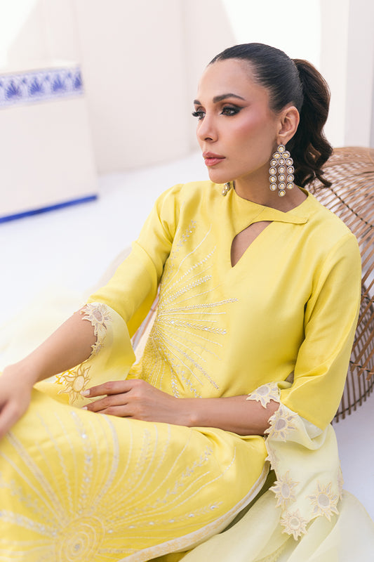 Solana Shirt and Dupatta