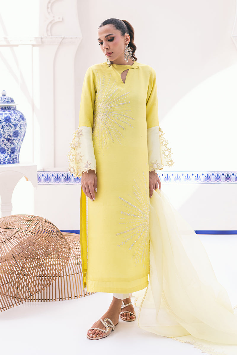 Solana Shirt and Dupatta