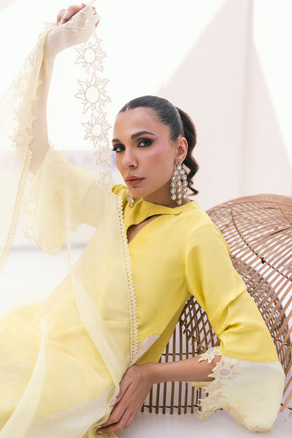 Solana Shirt and Dupatta