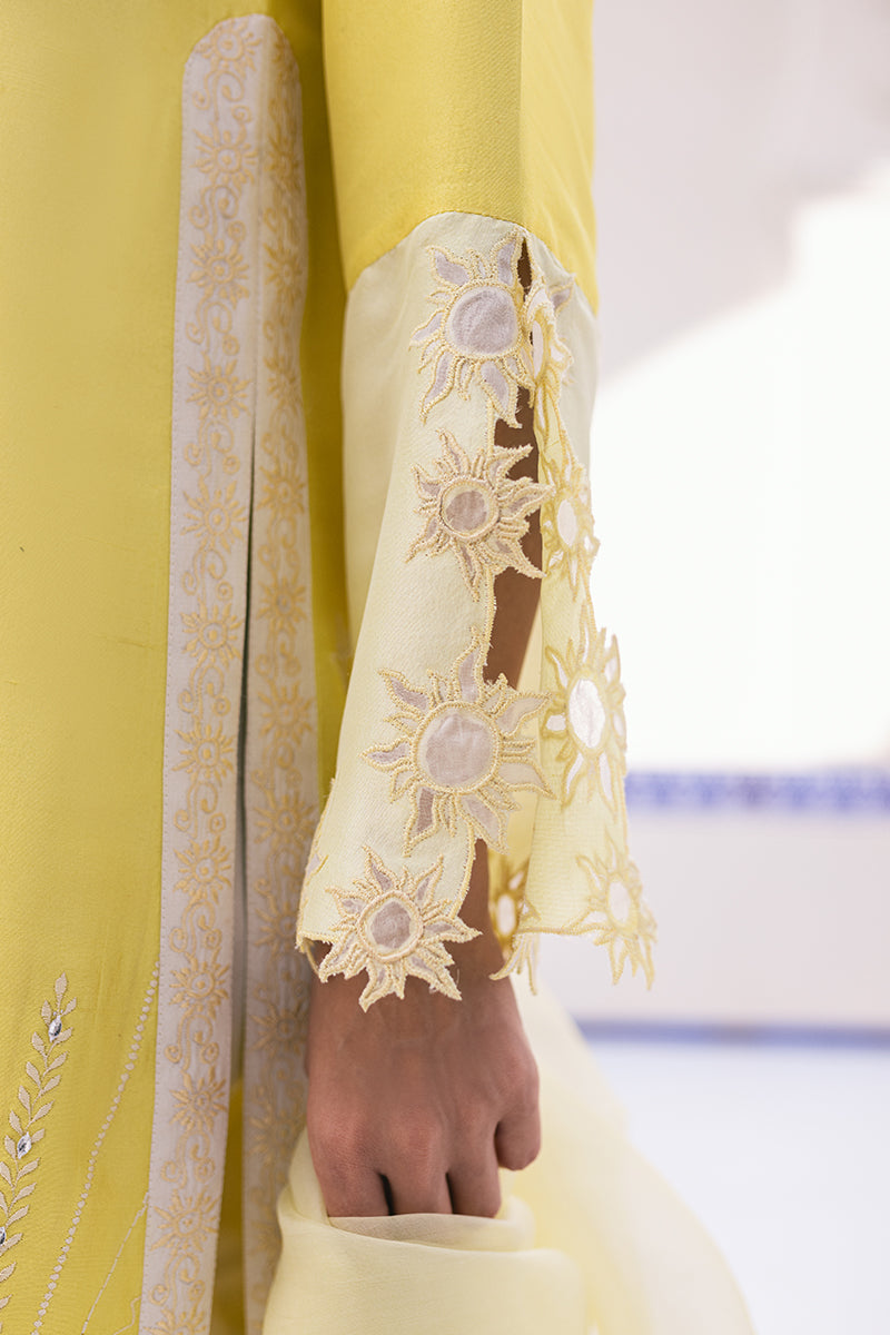 Solana Shirt and Dupatta