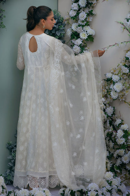 Pearlescent Serenade Kalidaar and Dupatta