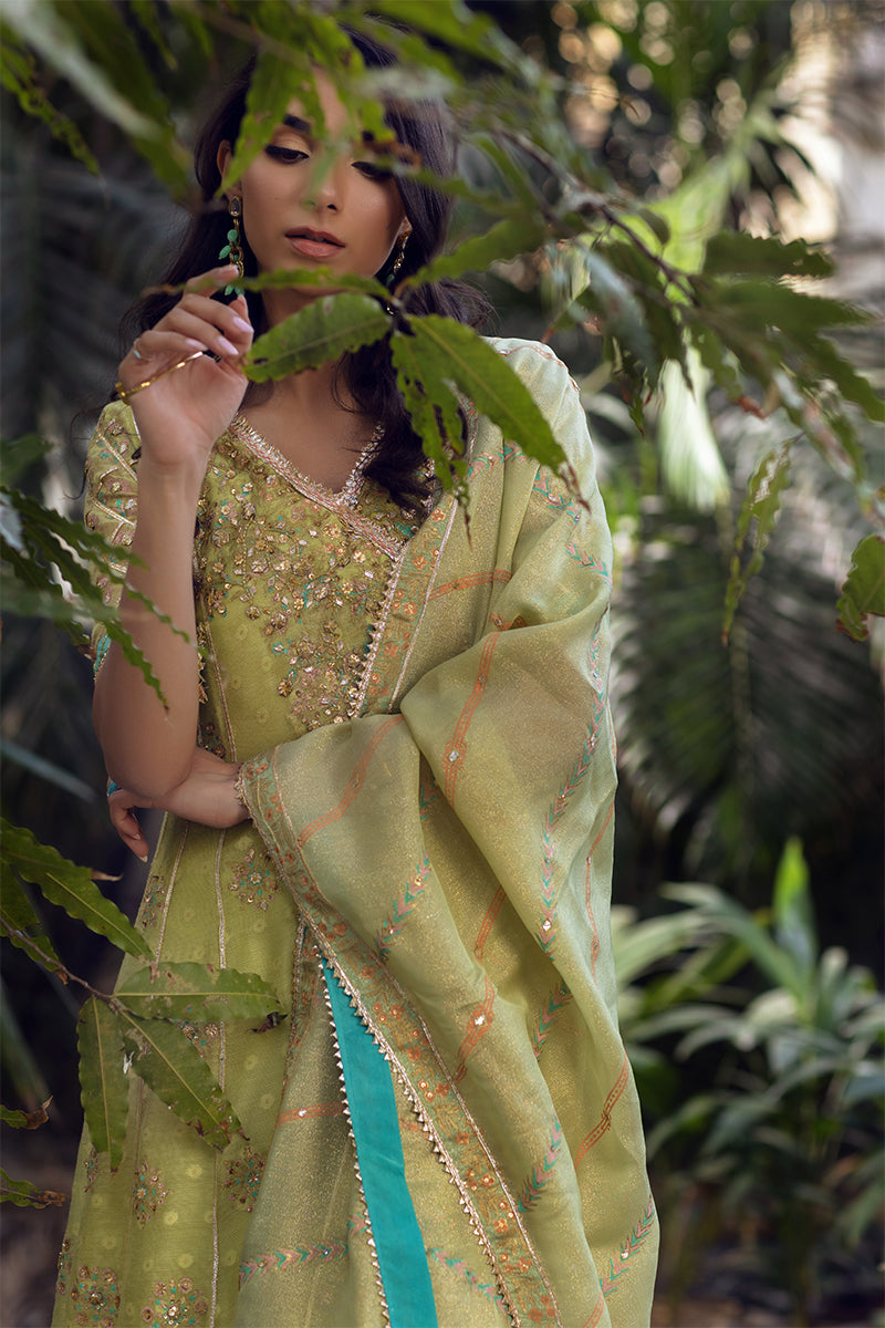 Taabir Angharka and Dupatta