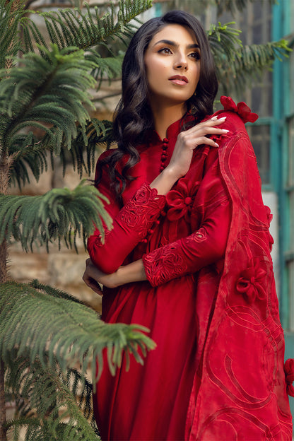 Gulaab Shirt and Pants