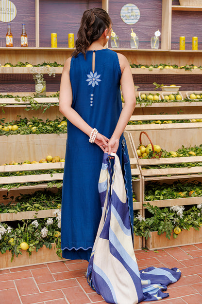 Daffy Shirt and Dupatta