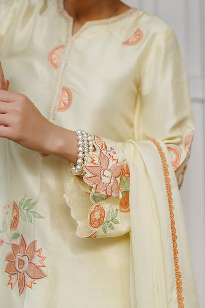 Capri Shirt and Dupatta