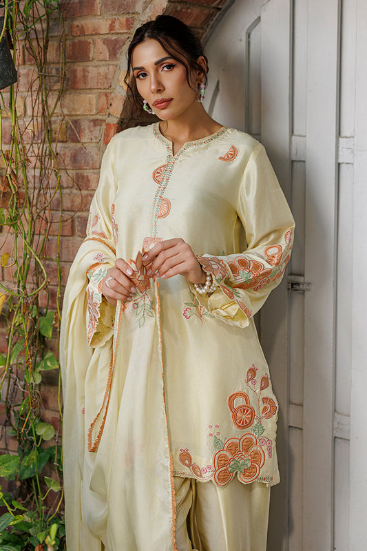 Capri Shirt and Dupatta