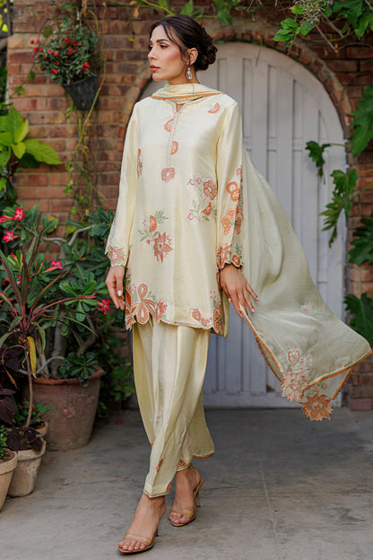 Capri Shirt and Dupatta