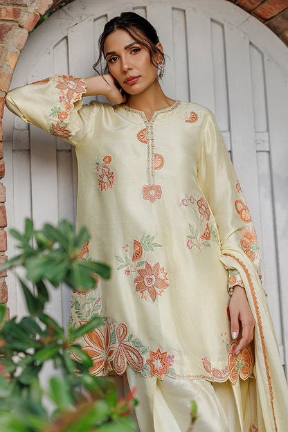 Capri Shirt and Dupatta