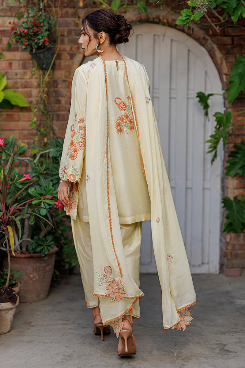 Capri Shirt and Dupatta