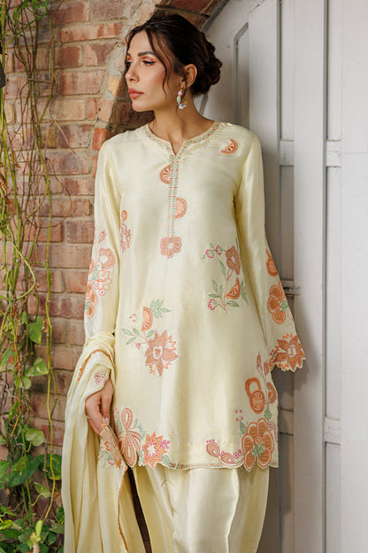 Capri Shirt and Dupatta