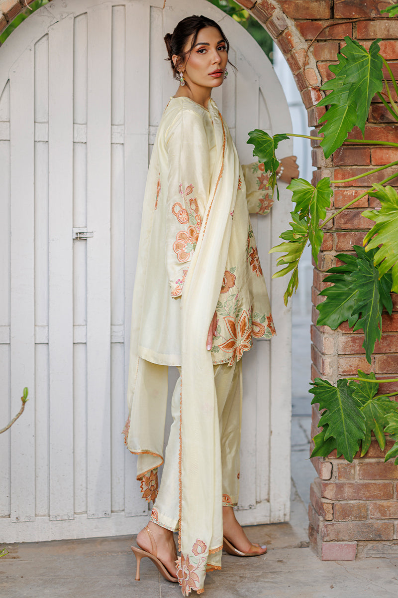 Capri Shirt and Dupatta