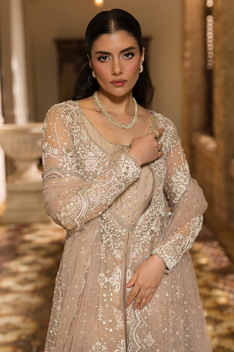Amani