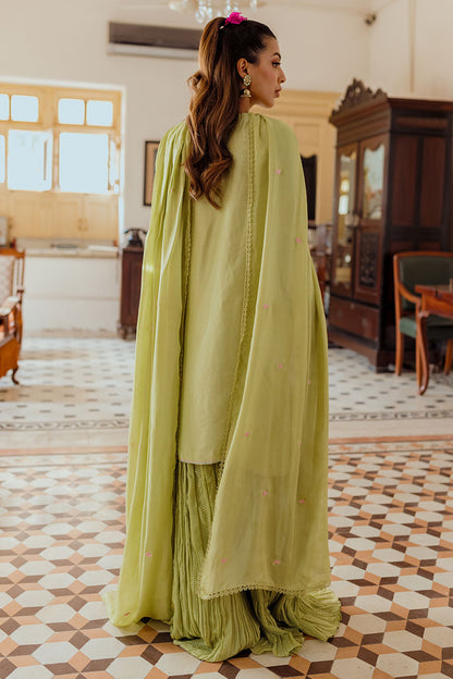Leena Shirt and Dupatta