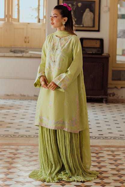 Leena Shirt and Dupatta