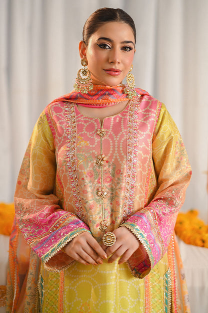Miraal Shirt and Dupatta