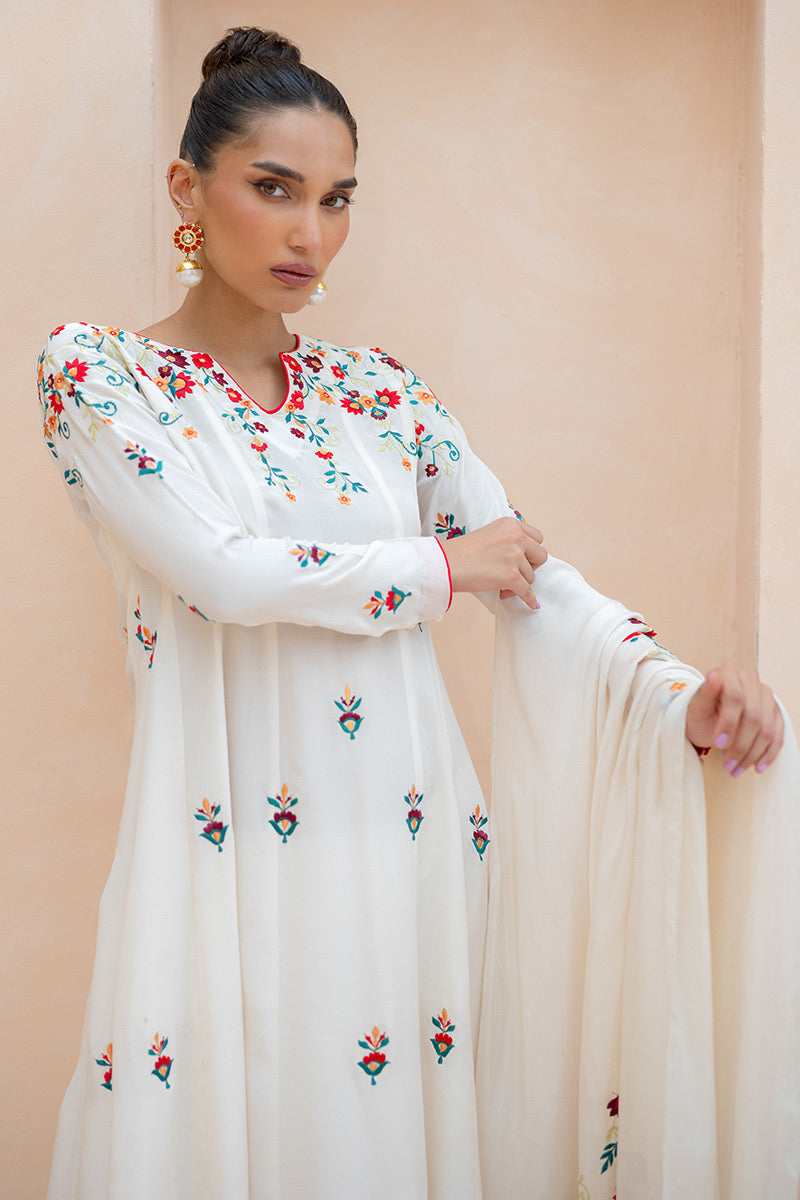 Stardust Reverie Kalidaar and Dupatta
