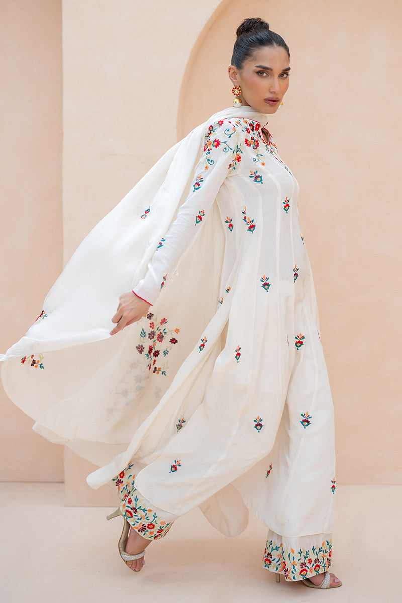Stardust Reverie Kalidaar and Dupatta
