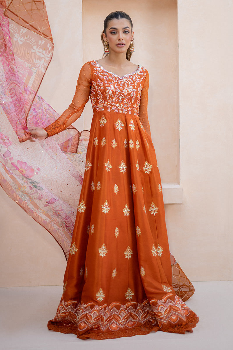Amber Luxuria Kalidaar and Dupatta