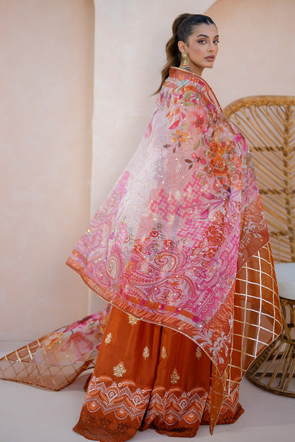 Amber Luxuria Kalidaar and Dupatta