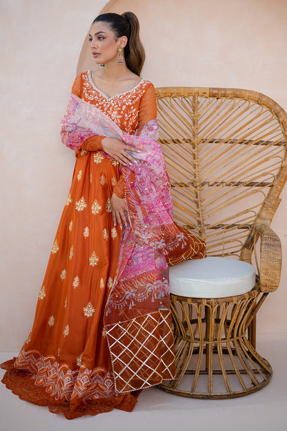 Amber Luxuria Kalidaar and Dupatta