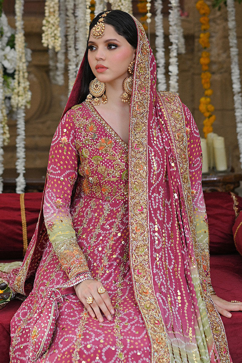 Haniya