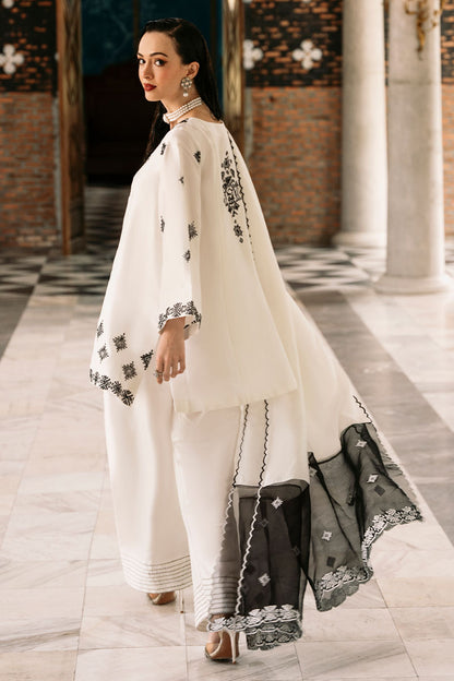 Snowstorm Shirt and Dupatta