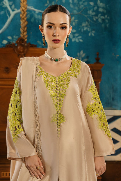 Celosia Shirt and Dupatta