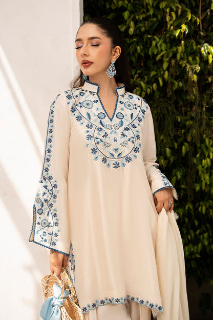Dani Shirt and Dupatta