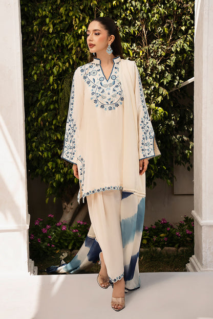 Dani Shirt and Dupatta