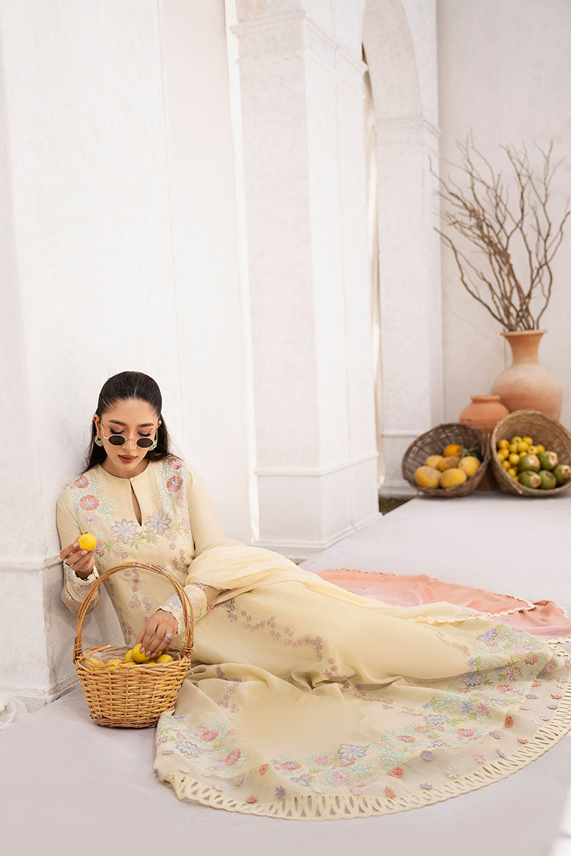 Esha Kalidaar and Dupatta