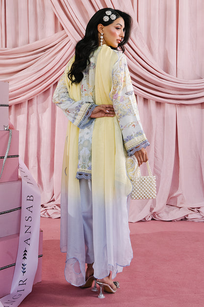 Summer Shirt and Dupatta
