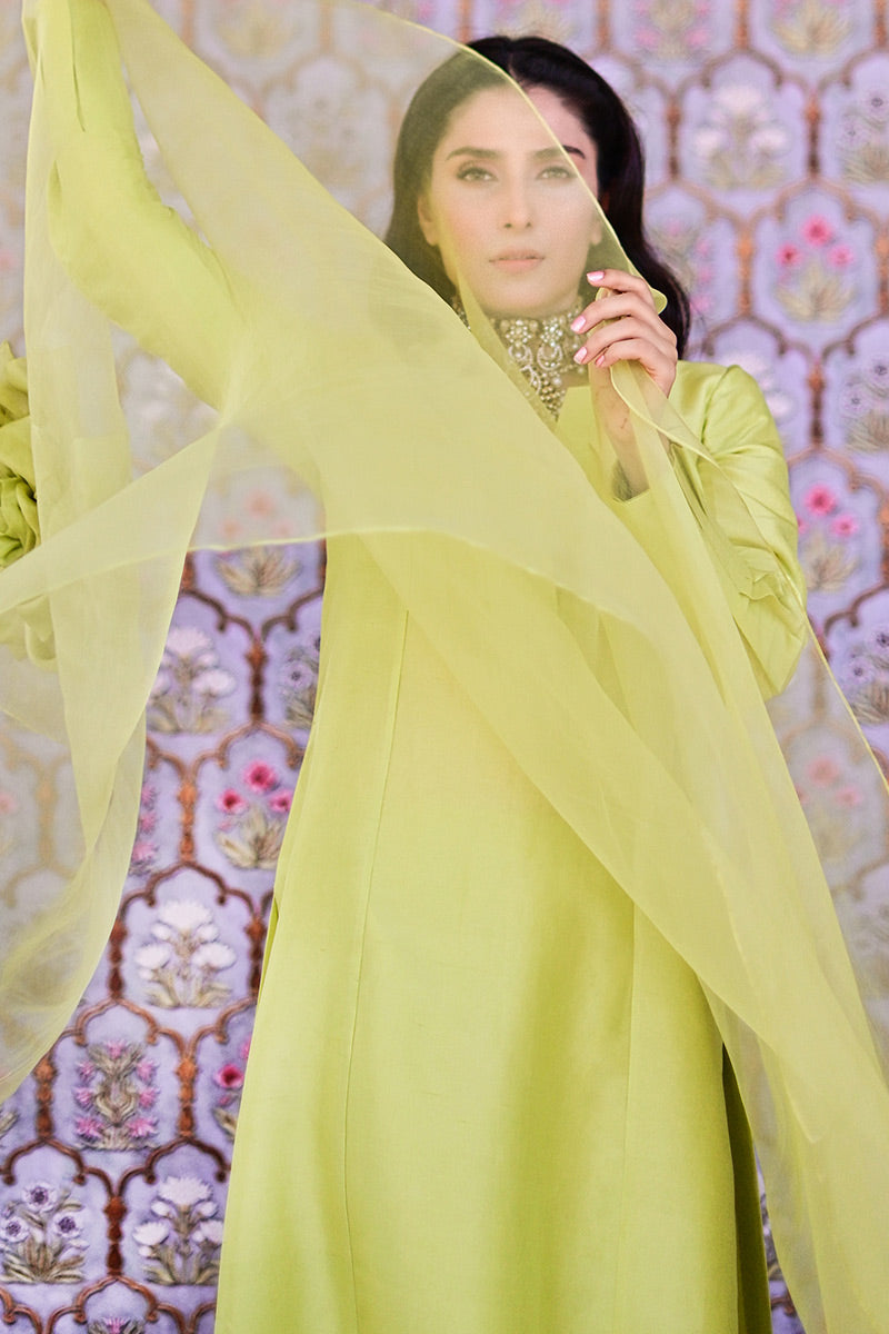 Ray Shirt and Dupatta