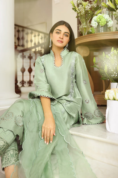 Royal Rouge Shirt and Dupatta