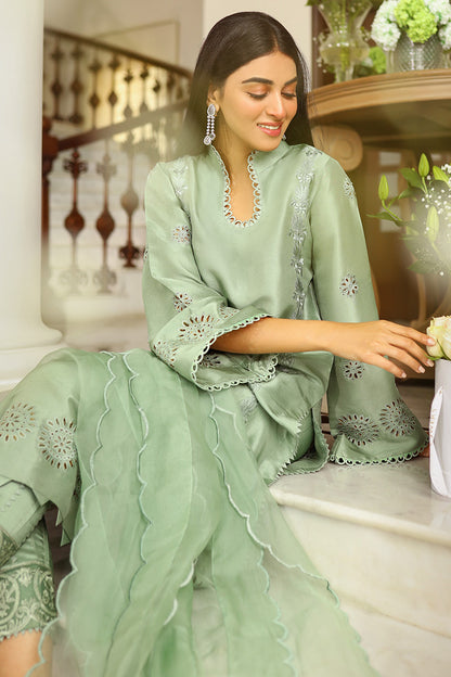 Royal Rouge Shirt and Dupatta