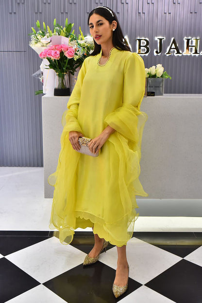 Aleah Shirt and Dupatta