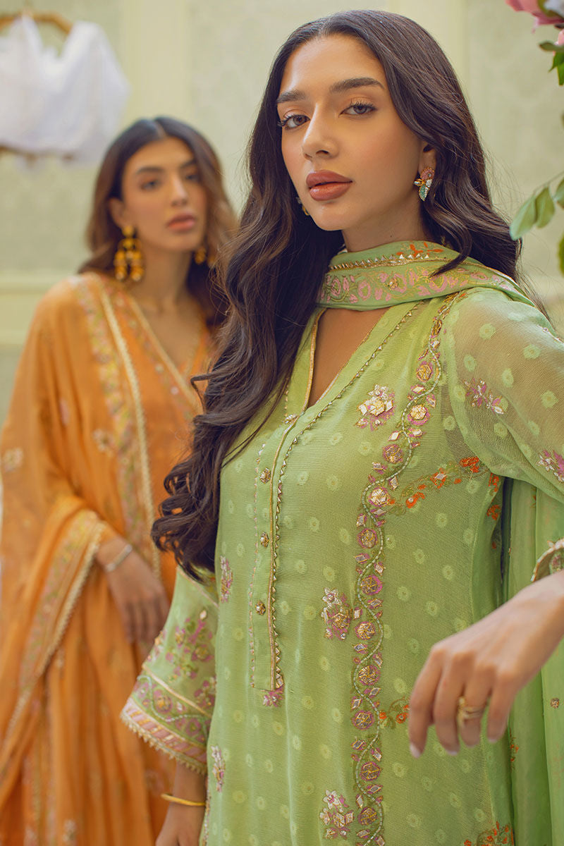 Estella Shirt and Dupatta