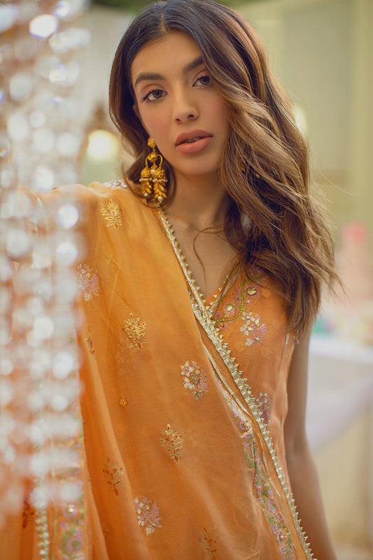 Orange Crush Kalidaar and Dupatta