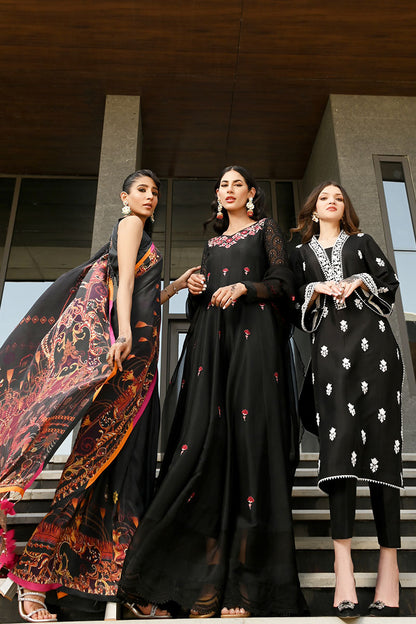 After dark Kalidaar and Dupatta