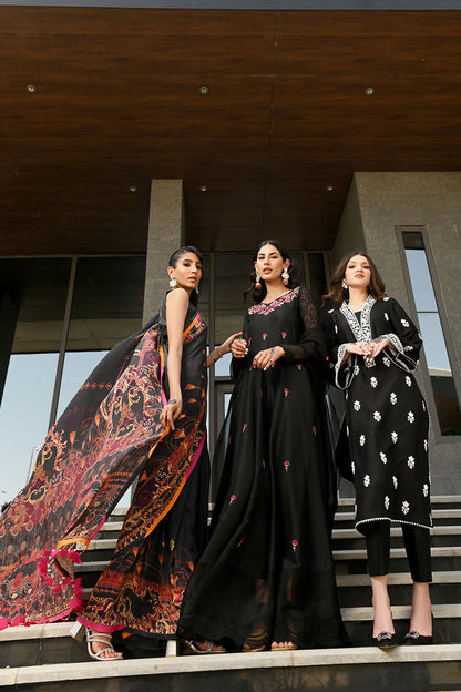 Black Ink Saree